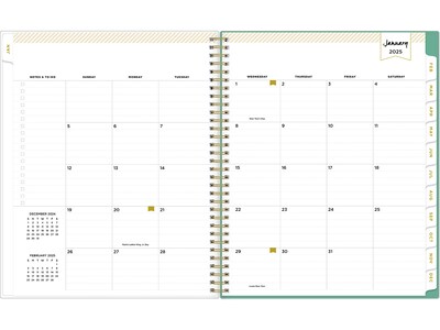 2025 Blue Sky Day Designer Peyton White 8.5" x 11" Weekly & Monthly Planner, Plastic Cover, Multicolor (103618-25)