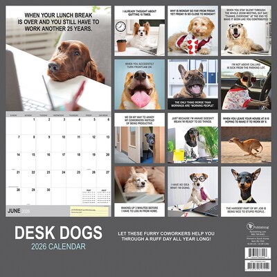 2026 TF Publishing Desk Dogs 12" x 12" Monthly Wall Calendar (26-1052)