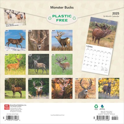 2025 BrownTrout Monster Bucks 12 x 24 Monthly Square Wall Calendar (9781975477448)