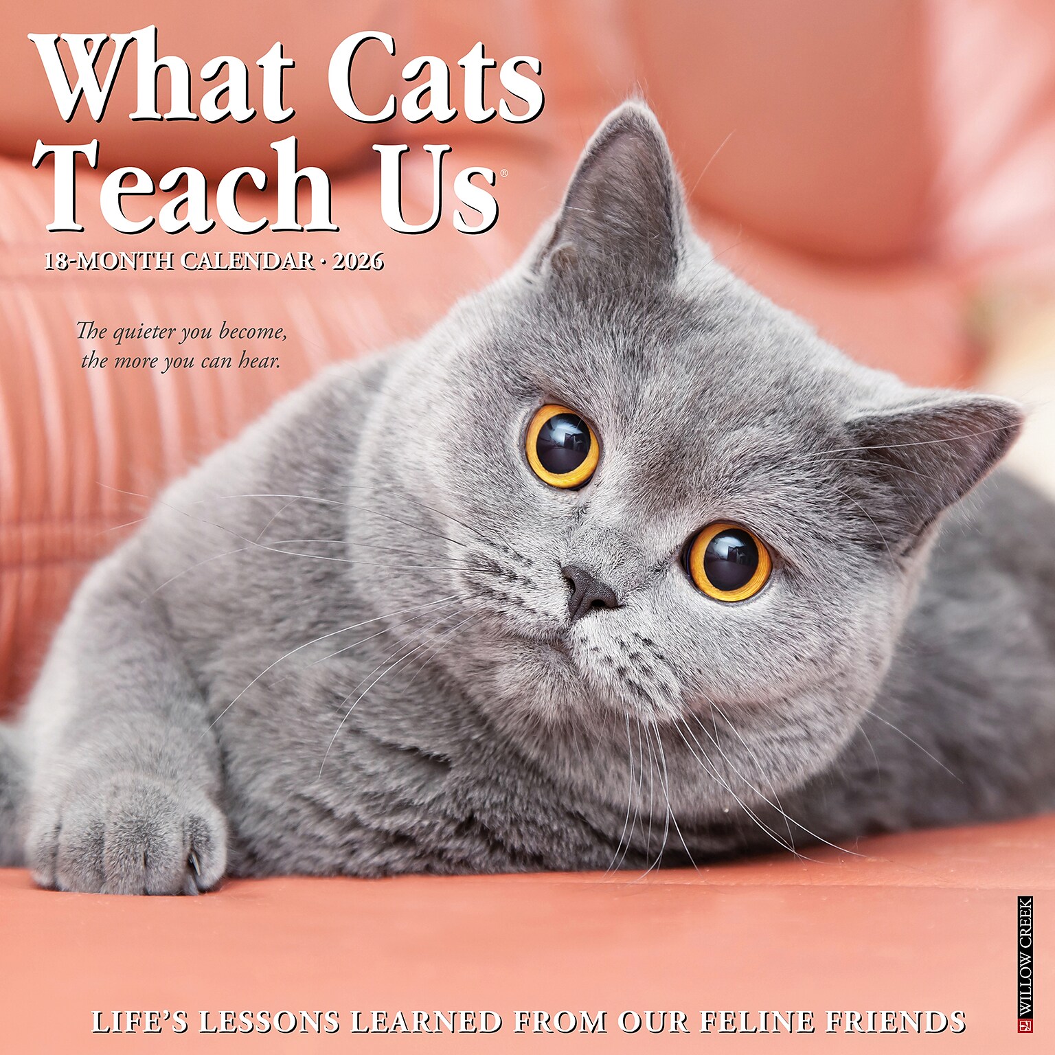 2026 Willow Creek What Cats Teach Us 12 x 12 Monthly Wall Calendar (53157)