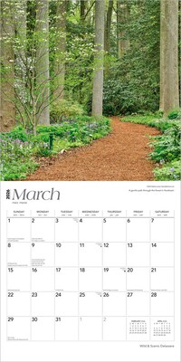 2026 BrownTrout Delaware Wild & Scenic 12" x 12" Monthly Wall Calendar (9798330703142)