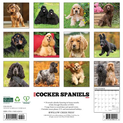 2025 Willow Creek Just Cocker Spaniels 12" x 12" Monthly Wall Calendar (42496)