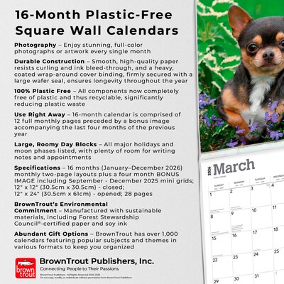 2026 BrownTrout Chihuahuas 12" x 12" Monthly Wall Calendar (9798330702947)