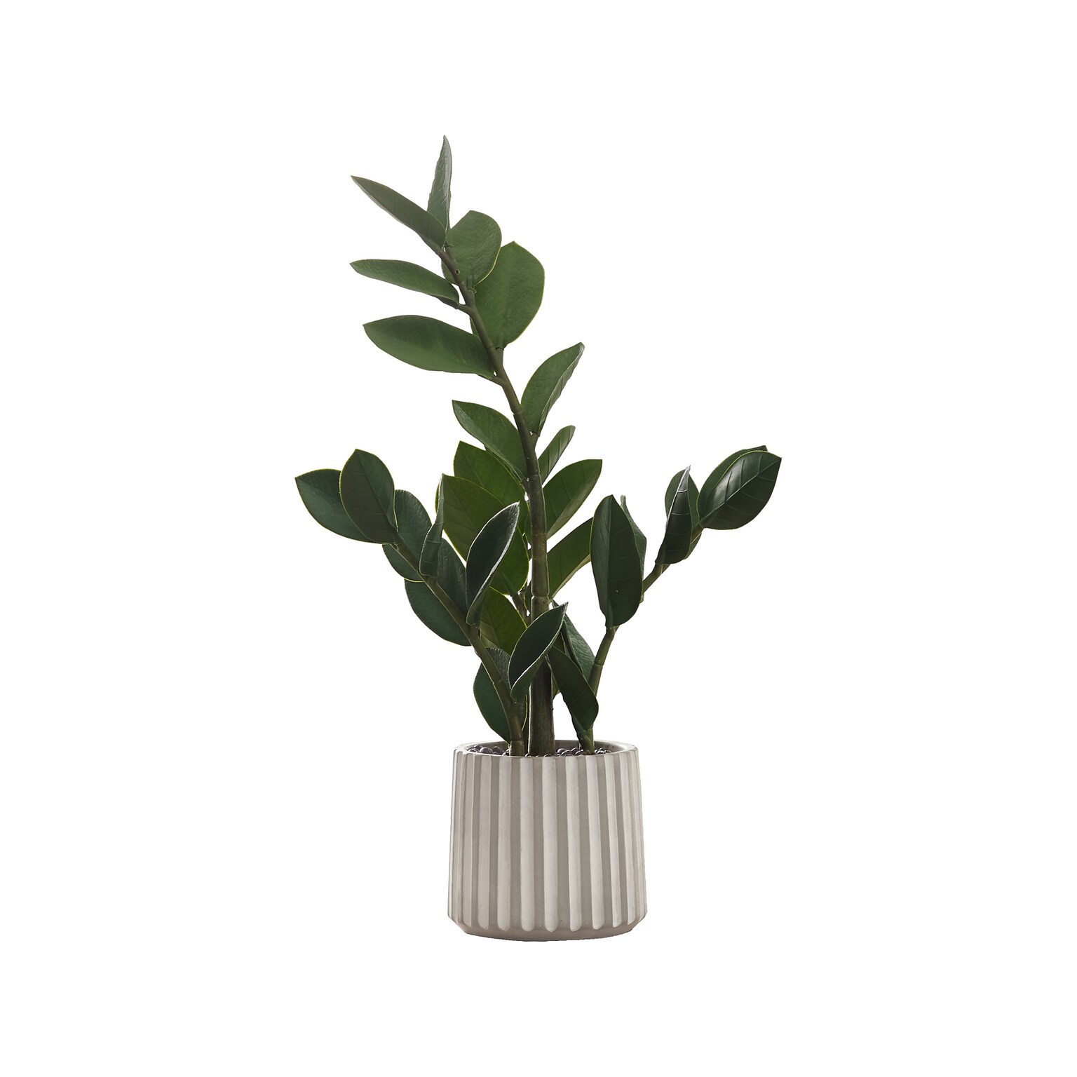 Monarch Specialties Inc. ZZ Plant in Pot (I 9500)