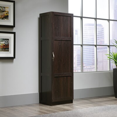 Sauder Sauder Select 60 H Storage Cabinet with  Shelves Cinnamon Cherry Finish finish (419620)