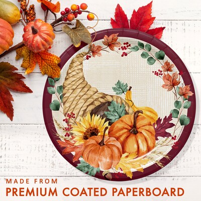Say Hooray! Fall Feast Paper Plates and Napkins Kit, Multicolored, 48/Pack (DTC9389E2G)
