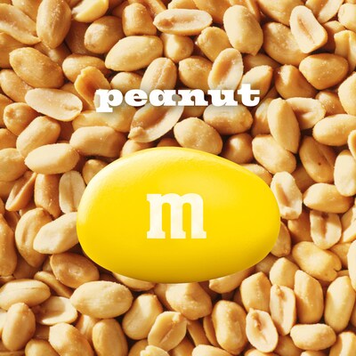 M&Ms Share Size Peanut Milk Chocolate Pieces, 3.27 oz., 24 Bags/Box (MMM04432)