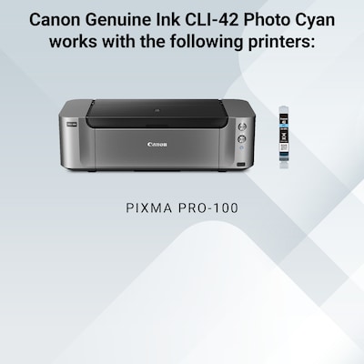 Canon 42 Photo Cyan Standard Yield Ink Cartridge (6388B002)