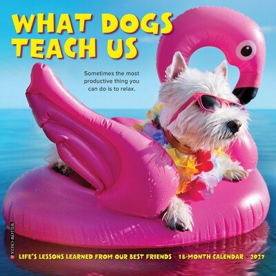 2027 Willow Creek What Dogs Teach Us 7 x 7 Monthly Wall Calendar, Assorted Colors (64283)
