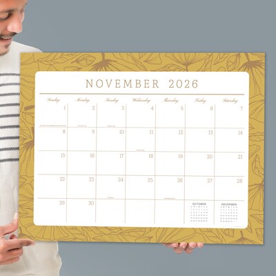 2026-2027 TF Publishing Monthly Deskpad Calendar (AY27-4202)