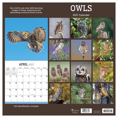 2027 TF Publishing Owls 11" x 12" Monthly Wall Calendar, Multicolored (27-1044)