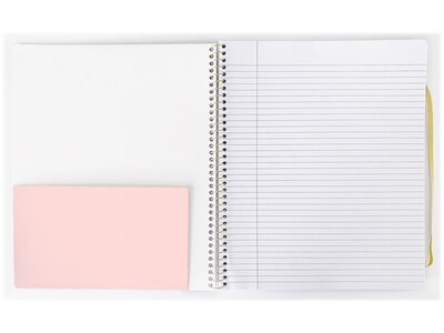 Carolina Pad Keep it in line Professional Notebook, 9.65" x 11.6", College-Ruled, 100 Sheets, Assorted Colors (10000)