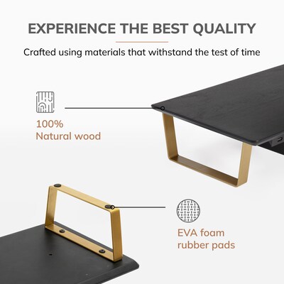 Anji Mountain Mango Wood & Metal Monitor Stand with Two USB Ports and Drawer, Black and Gold (MS-BLK-06GLD-PD)