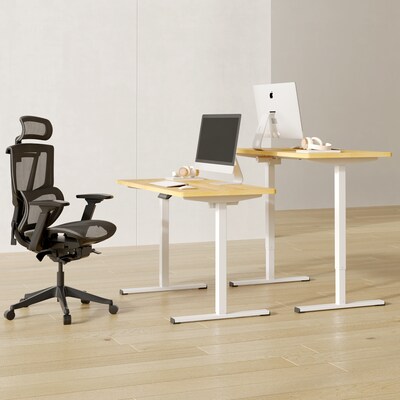 FlexiSpot ET155E 48"W Electric Rectangular Adjustable Standing Desk, Maple/White