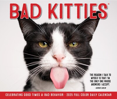 2025 Willow Creek Bad Kitties 6.2" x 5.4" Day-to-Day Calendar (40638)