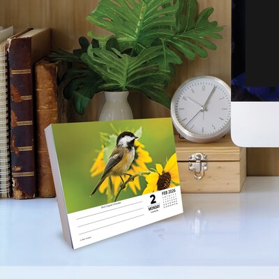 2026 Willow Creek Backyard Birds 6.2" x 5.4" Day-to-Day Calendar (53935)