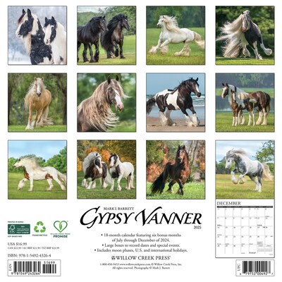 2025 Willow Creek Gypsy Vanner Horse 12 x 12 Monthly Wall Calendar (43264)