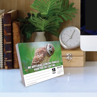 2026 Willow Creek Animal Antics 6.2" x 5.4" Day-to-Day Calendar (55137)