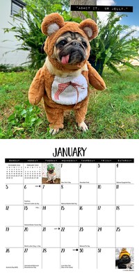 2025 Willow Creek Doug the Pug 7" x 7" Monthly Wall Calendar (45763)
