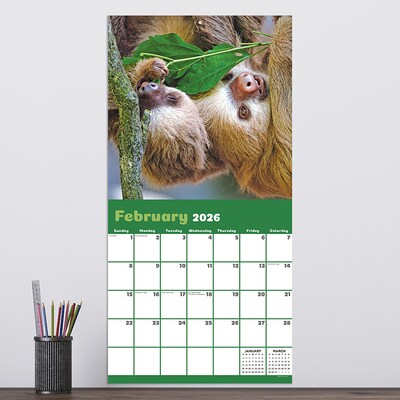 2026 TF Publishing Sloths 12" x 12" Monthly Wall Calendar (26-1045)