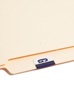Smead BCCR Labels File Folder Label, G, Violet, 500 Labels/Pack (67077)