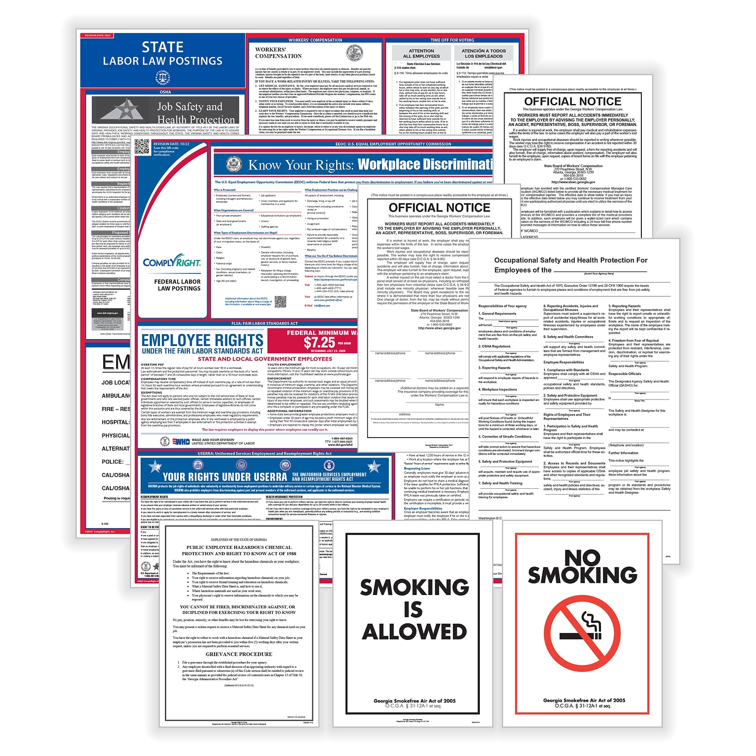 ComplyRight Federal, State and Public Sector (English) Labor Law 1-Year Poster Service, Nevada (U1200CPSECNV)