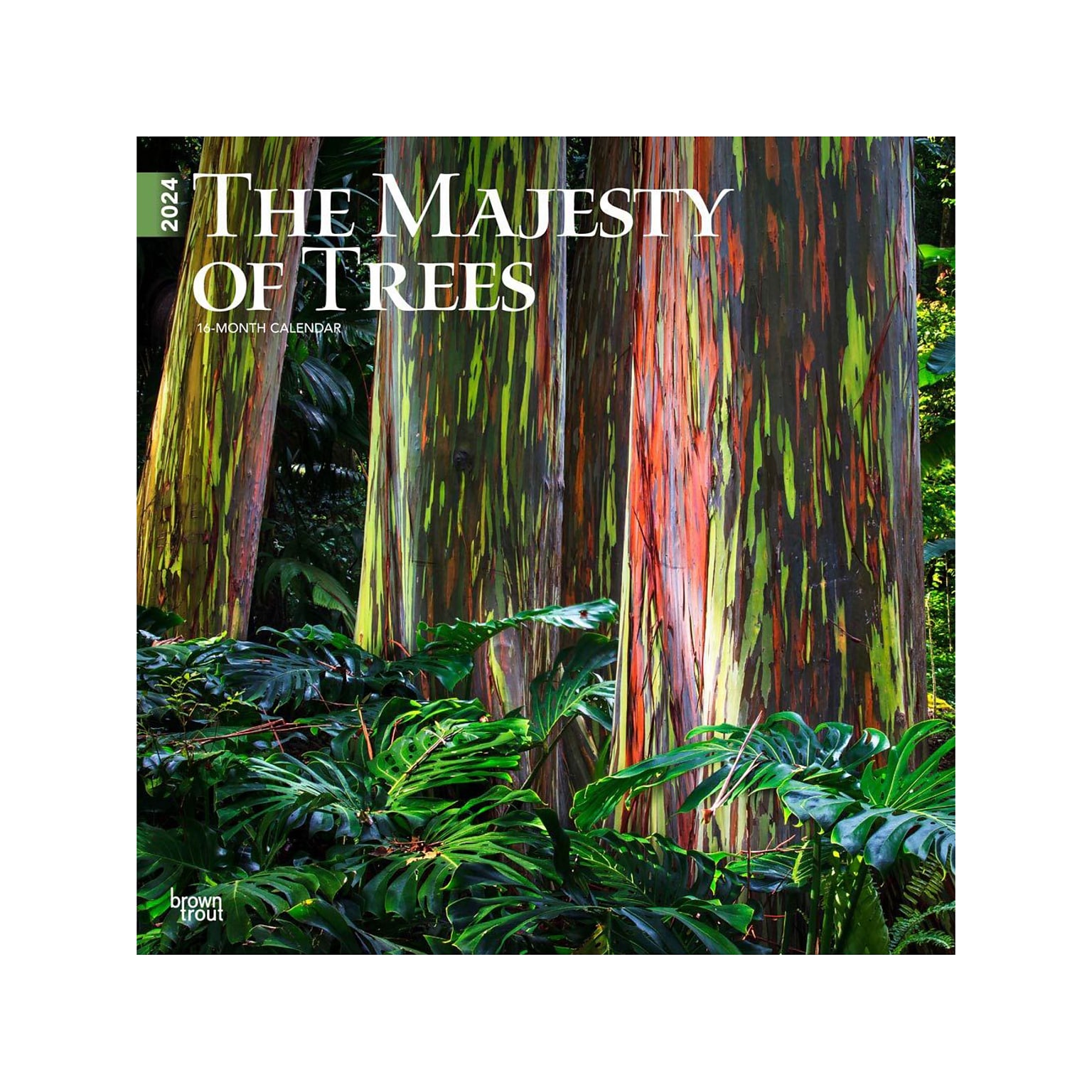 2024 BrownTrout The Majesty of Trees 12 x 12 Monthly Wall Calendar (9781975463816)