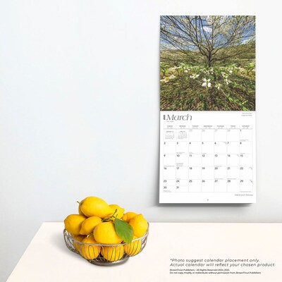 2025 BrownTrout Arkansas Wild & Scenic 12" x 12" Monthly Square Wall Calendar (9781975474478)
