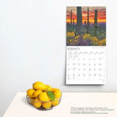 2025 BrownTrout America 12" x 12" Monthly Square Wall Calendar (9781975474447)