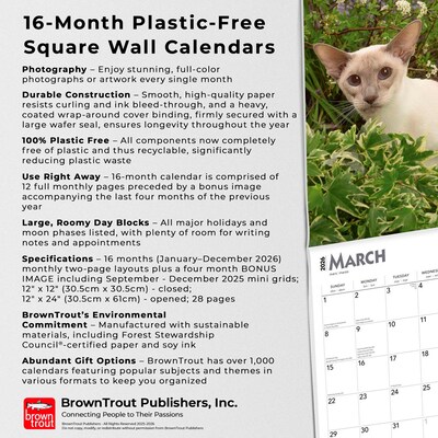 2026 BrownTrout Siamese Cats 12" x 12" Monthly Wall Calendar (9798330705573)