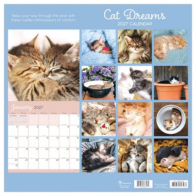 2027 TF Publishing Cat Dreams 12" x 12" Monthly Wall Calendar (27-1003)
