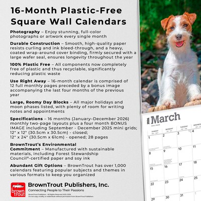 2026 BrownTrout Jack Russell Terriers 12" x 12" Monthly Wall Calendar (9798330703975)