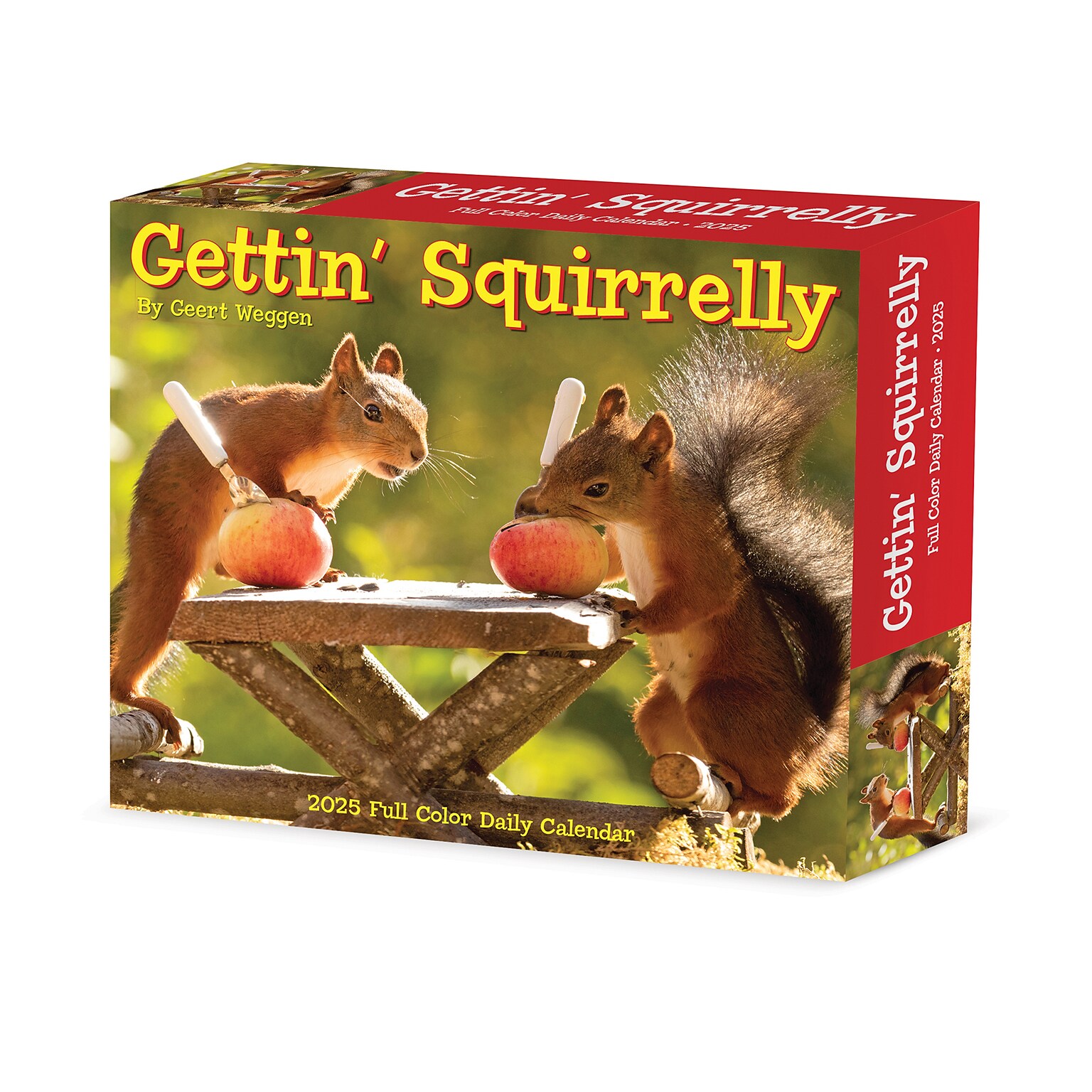 2025 Willow Creek Gettin Squirrelly  6.2 x 5.4 Day-to-Day Calendar, Multi (40850)