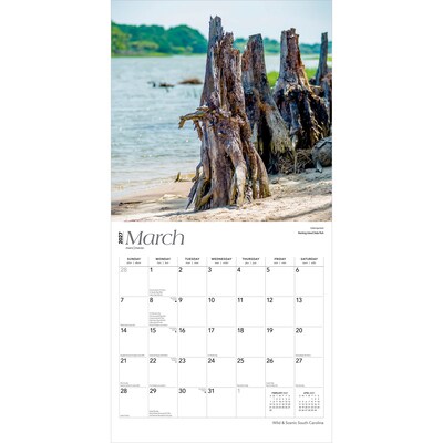 2027 BrownTrout South Carolina Wild & Scenic 12" x 12" Monthly Wall Calendar (9798330710850)