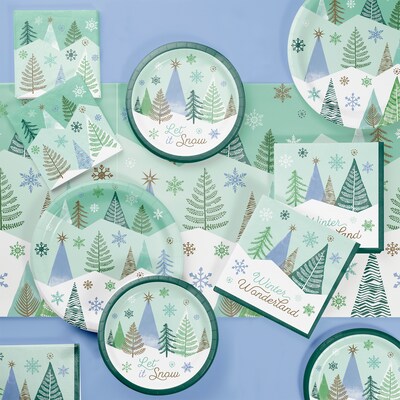 Creative Converting Winter Wonderland Christmas Tableware Set, Serves 8 (DTC9035E2A)