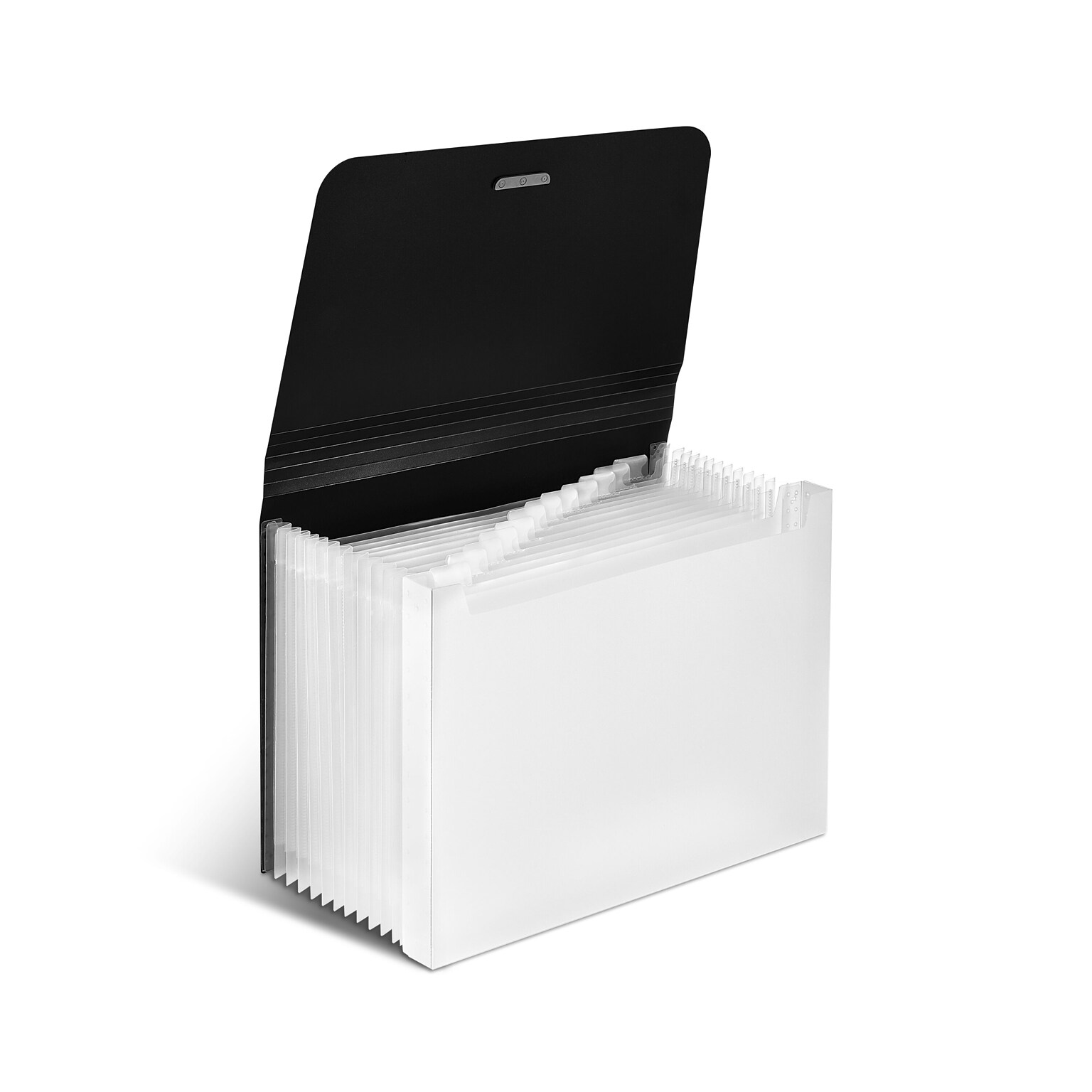 TRU RED Moisture Resistant Plastic Accordion File, 13-Pocket, Letter Size, Black (TR51806)