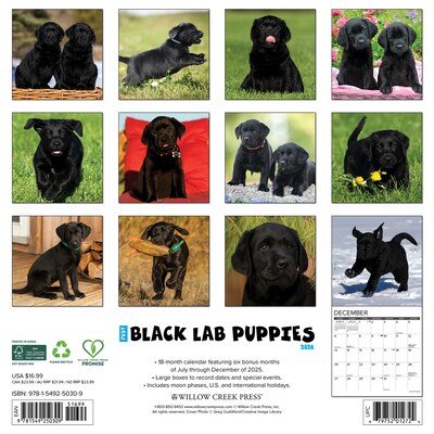 2026 Willow Creek Black Lab Puppies 12 x 12 Monthly Wall Calendar (50309)