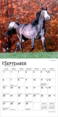 2026 BrownTrout Horse Lovers 7" x 7" Monthly Wall Calendar (9798330703708)