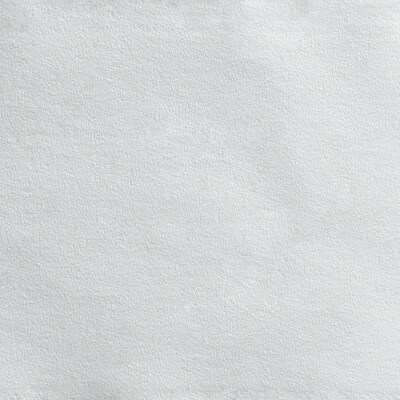Georgia Pacific Blue Basic Recycled Jumbo Jr. Toilet Paper, 2-Ply, White, 1000 ft./Roll, 8 Rolls/Carton (12798)