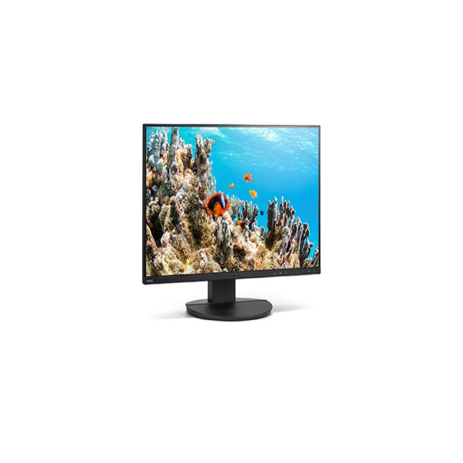 Sharp MultiSync 24 FHD IPS 62Hz Monitor, Built-In Speaker, Height Adjustable, Black (DD-EA242W)