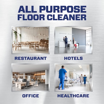 Mr. Clean Professional Liquid Concentrate All Purpose Floor Cleaner, Lemon Scent, 1 Gallon (02621)