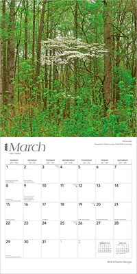 2026 BrownTrout Georgia Wild & Scenic 12" x 12" Monthly Wall Calendar (9798330703340)