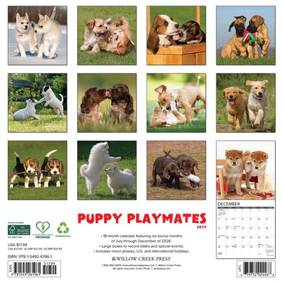 2027 Willow Creek Puppy Playmates 12 x 12 Monthly Wall Calendar, Assorted Colors (61961)