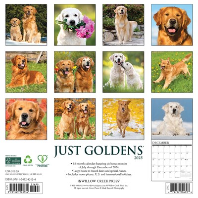 2025 Willow Creek Just Goldens 12 x 12 Monthly Wall Calendar (43134)