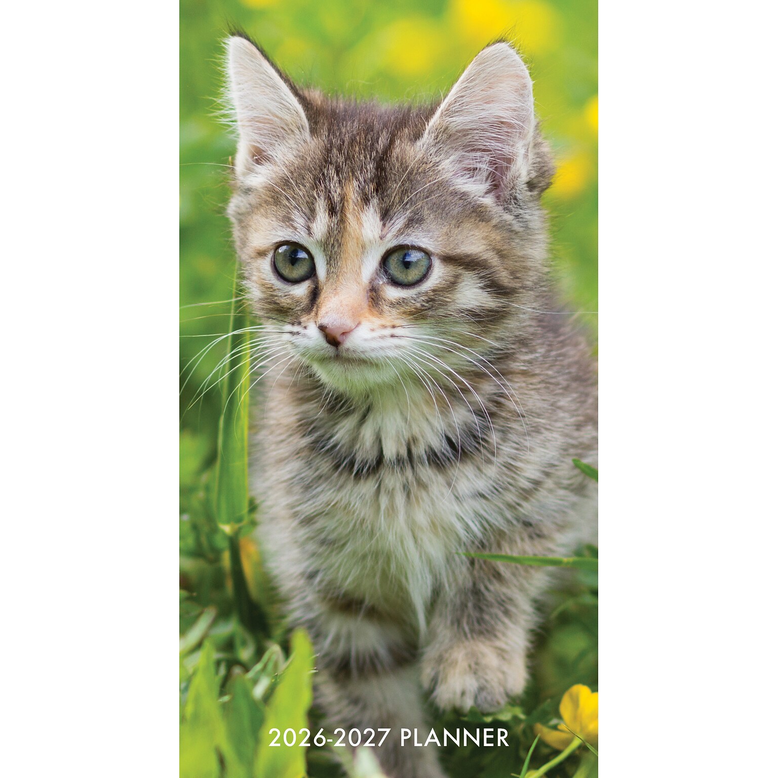 2026-2027 Willow Creek Cute as A Kitten 3.5 x 6.5 Monthly Planner Cover (56530X)
