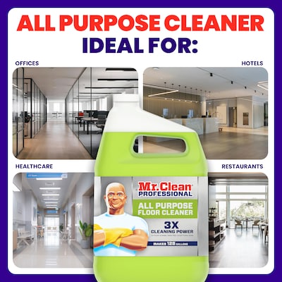 Mr. Clean Professional All Purpose Floor Cleaner, Lemon Scent, 1 Gallon (02621)