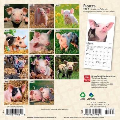 2027 BrownTrout Piglets 7 x 7 Monthly Wall Calendar (9798330709816)