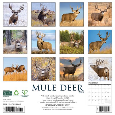 2025 Willow Creek Mule Deer 12 x 12 Monthly Wall Calendar (44063)
