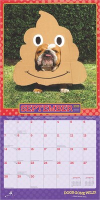 2025 BrownTrout Avanti Dogs Gone Wild 12" x 12" Monthly Wall Calendar (9781975479671)