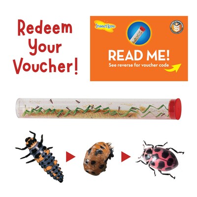 Insect Lore Ladybug Land Hatching Kit (ILP2100)